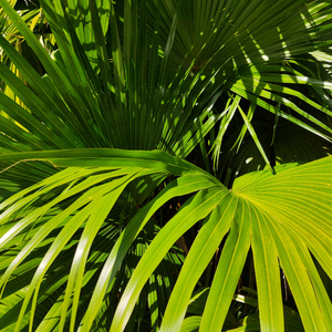 赵微被操120分钟
